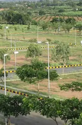 Ace Estate plots Sector-22 Greater Noida